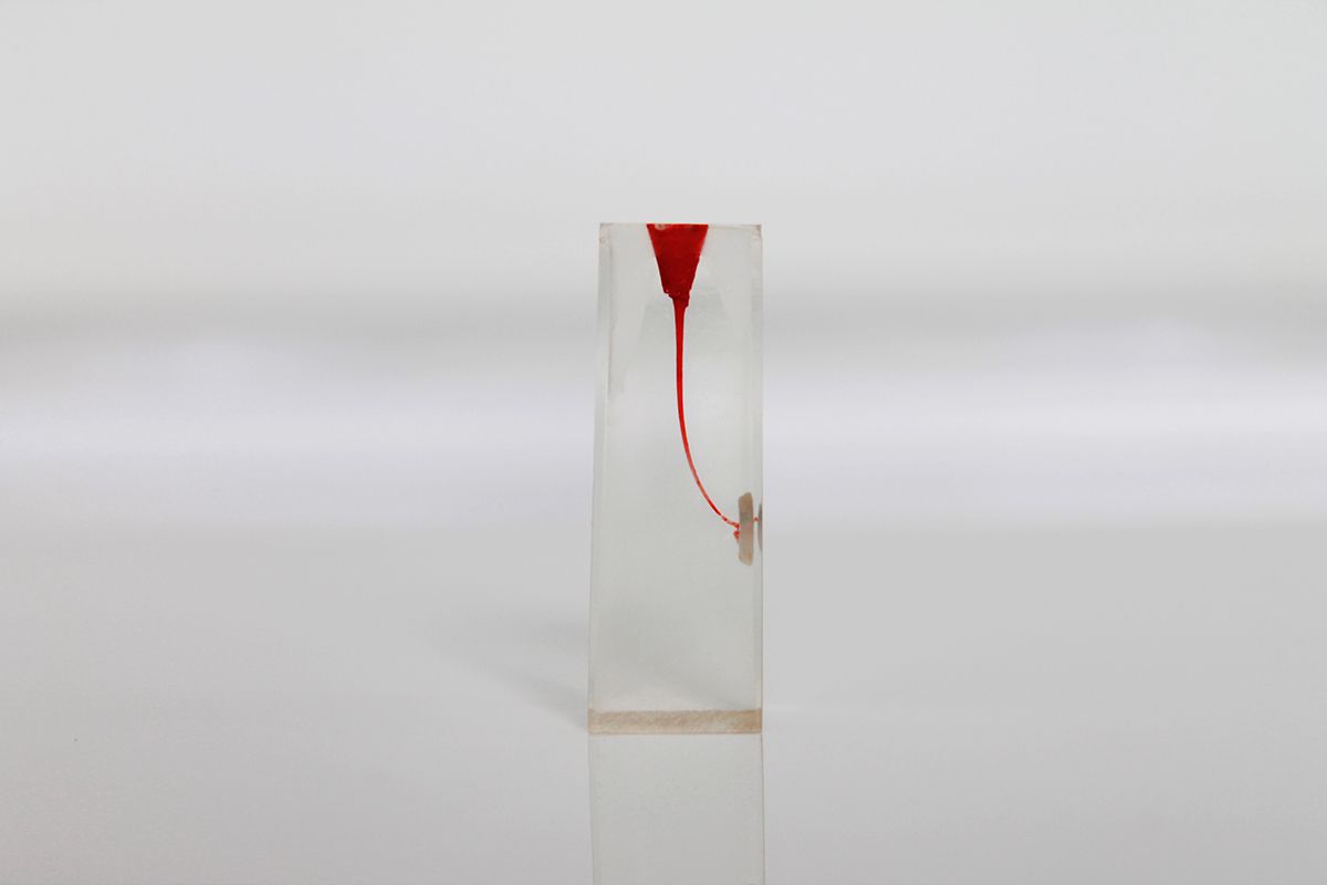 Зуб для обучения в ассортименте (1 шт) 04 Зуб для обучения в ассортименте (1 шт) 04