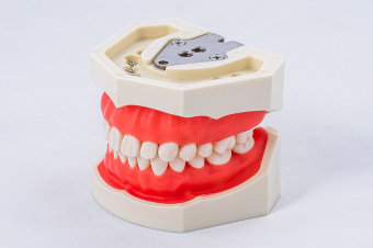 Фантомная челюсть JG-Y1 Фантомная челюсть JG-Y1